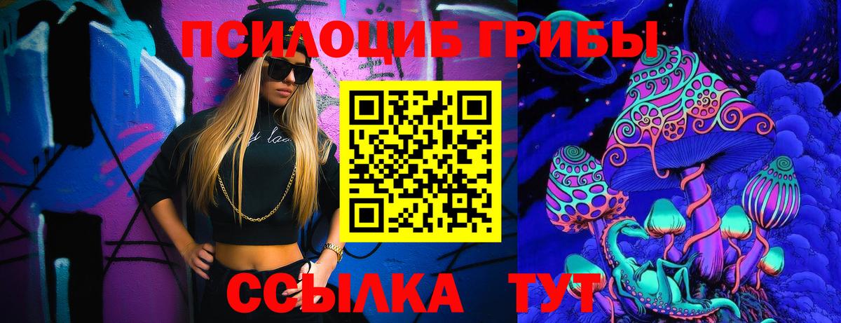 цены   Псилоцибиновые грибы MAGIC MUSHROOMS  Азнакаево  Вход с VPN  Псилоцибиновые грибы Psilocybine cubensis 